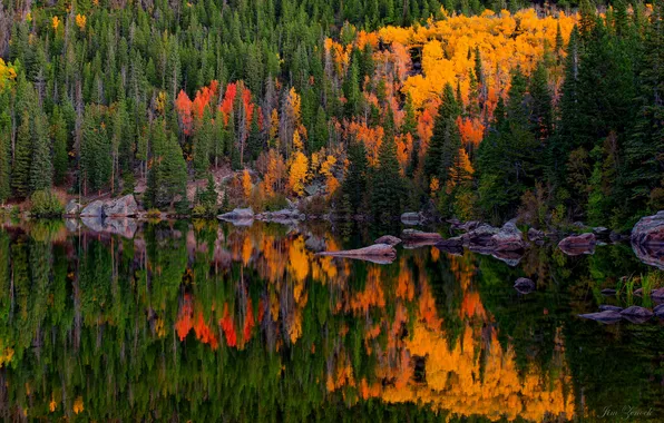Autumn, forest, water, trees, lake, reflection, shore