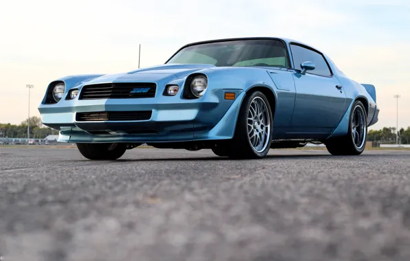 Picture Chevrolet, Camaro, 1981, Z28-6