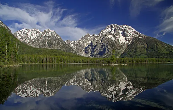 Forest, mountains, lake, reflection, Wyoming, Wyoming, Grand Teton, Grand Teton National Park