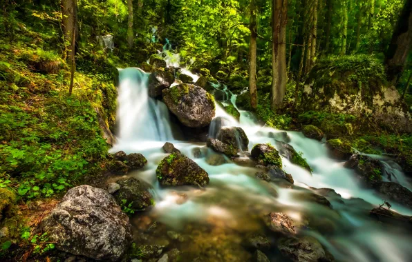 Forest, stream, stones, Germany, Bayern, cascade, Germany, Bavaria