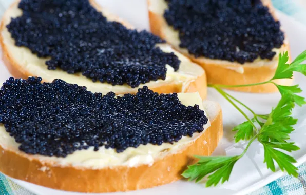 Macro, sandwich, black caviar
