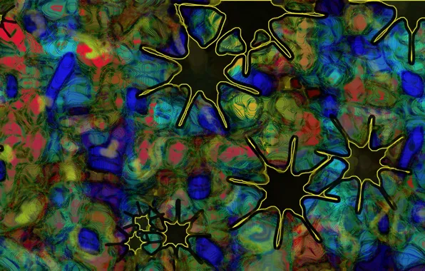 Pattern, color, chaos, spot
