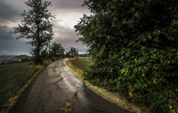 Road, night, the darkness