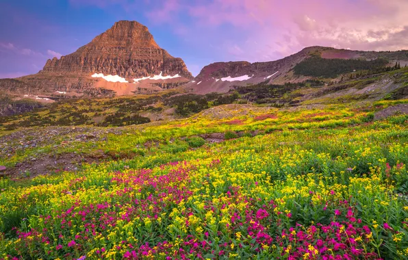 Nature, Mountains, USA, Landscape, Glacier National Park