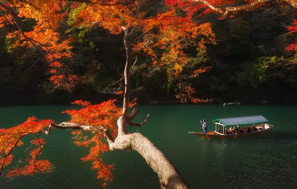 Picture autumn, the sun, trees, Park, river, boat, Japan, Kyoto
