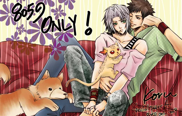 Cat, flowers, dog, Katekyo Hitman Reborn, Teacher mafia Reborn, Gokudera Hayato, Yamamoto Takeshi