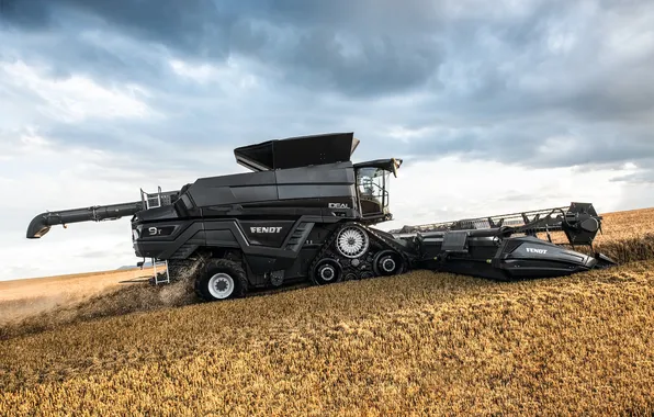 Field, technique, harvester, harvesting