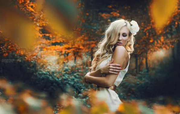 Flower, dress, nature, woman, fairy, fall, Kristyna, Atumn