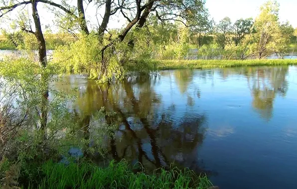 Water, clouds, trees, river, island, Summer, river, trees