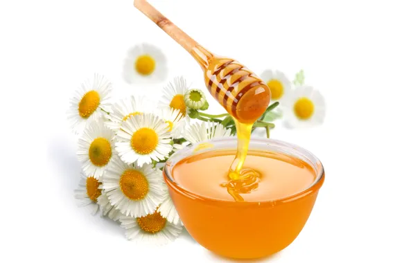 Picture flowers, chamomile, honey, spoon, white background, bowl