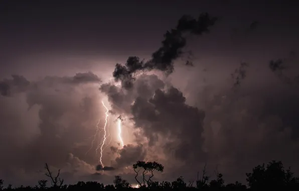 The storm, clouds, trees, night, clouds, lightning, silhouette