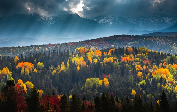 Autumn, forest, clouds, rays, light, trees, mountains, nature