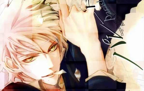 Look, petals, guy, art, blonde, Niou Masaharu, Prince of tennis, Kana Yamamoto