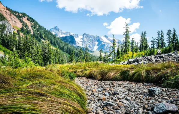 The sky, grass, landscape, mountains, nature, stones, beauty, Sunny
