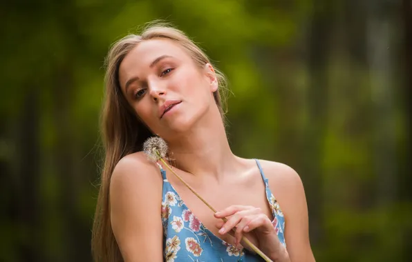 Dandelion, blonde, Aislin