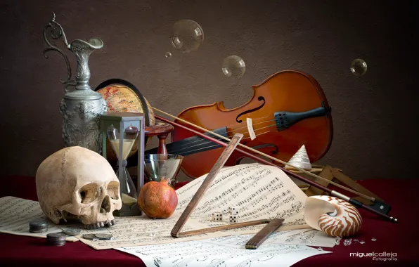 Notes, bubbles, violin, skull, coins, pitcher, still life, globe