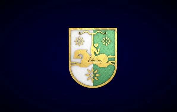 Blue, gold, rider, coat of arms, Abkhazia, abkhazian