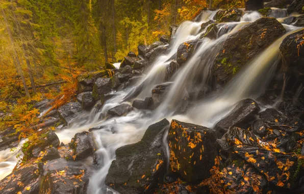 Autumn, forest, leaves, stones, waterfall, cascade, Finland, Finland