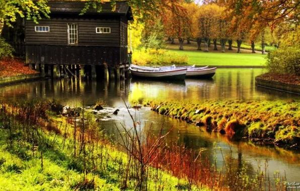 Autumn, forest, trees, nature, river, photo, house