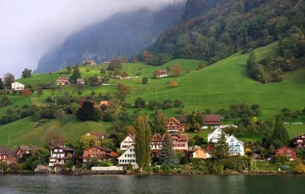 Picture forest, trees, mountains, fog, lake, shore, field, home