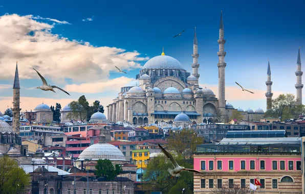 The sky, clouds, birds, seagulls, home, tower, temple, Istanbul