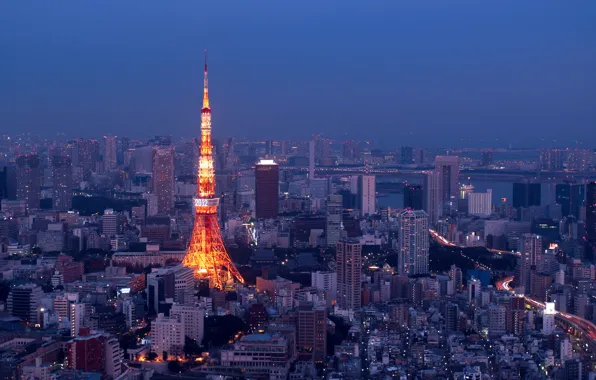 Picture night, lights, Tokyo, panorama