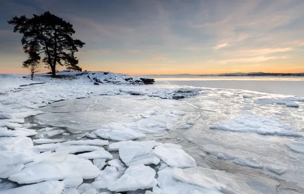 Cold, ice, trees, landscape, river