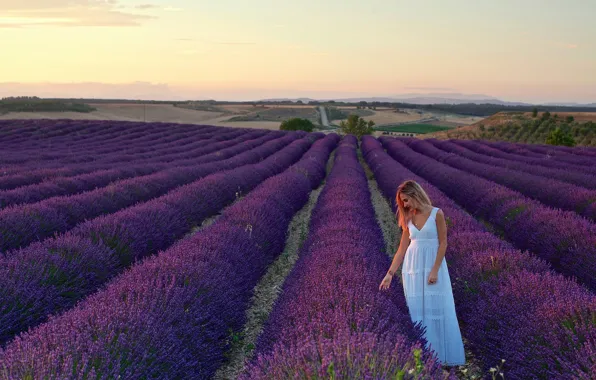 Picture field, girl, landscape, dress, blonde, in white, nature, lavender