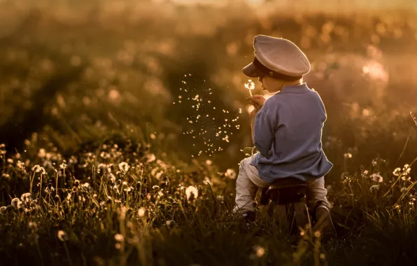 Boy, dandelions, fuzzes