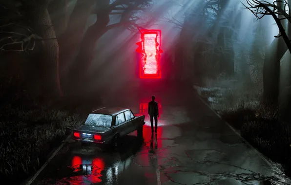 Auto, Road, Night, Trees, People, Forest, Machine, Light