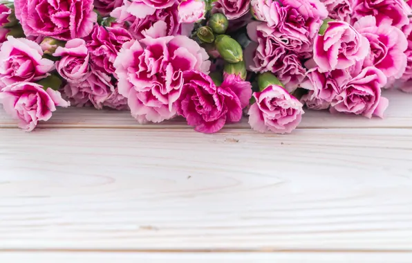 Picture flowers, pink, wood, pink, carnation, flowers