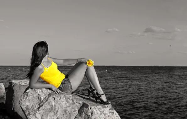 Picture STONES, SEA, HORIZON, YELLOW, FLOWER, BROWN hair, MIKE, SHORTS