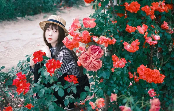 Beautiful, Asian, Model, Rose, Flowers, Roses, Woman, Hat