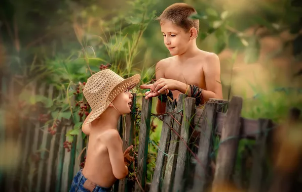 Nature, children, the fence, boys