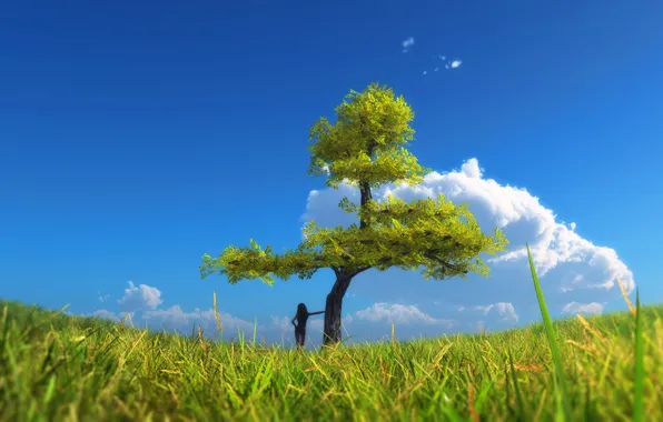 The sky, grass, girl, clouds, tree