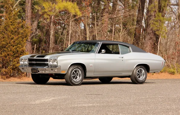 Coupe, Chevrolet, Chevrolet, Coupe, 1970, Chevelle, Hardtop, LS6