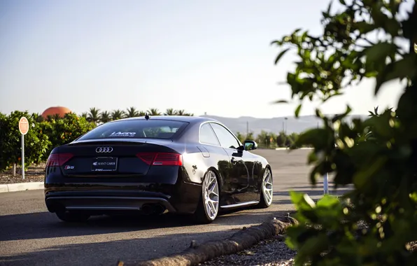 Audi, Audi, black, rearside