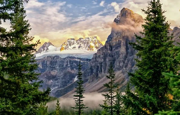 Trees, mountains, tops, ate, Canada, Albert, Alberta, Canada