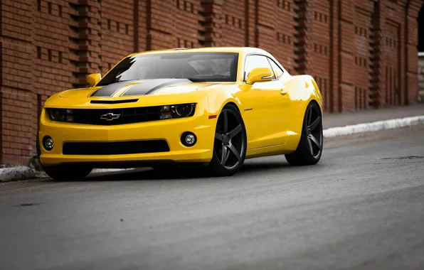 Road, Yellow, Chevrolet, Strip, Wheel, Muscle, Light, Camaro