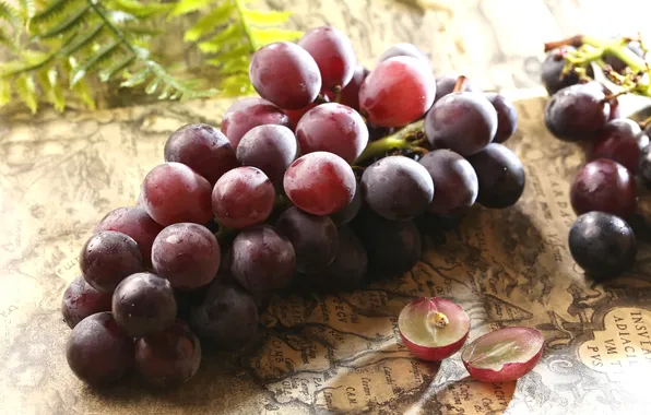 Berries, map, grapes, bunch