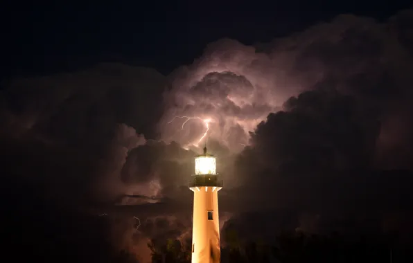 The storm, the sky, trees, night, clouds, zipper, lighthouse