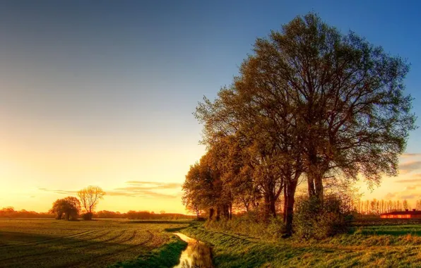 Picture road, trees, landscape, sunset