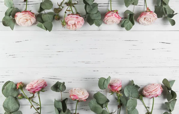 Flowers, roses, pink, wood, pink, flowers, beautiful, roses