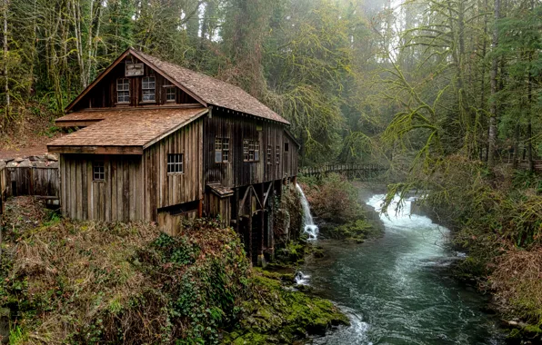 Wallpaper home, mill, water mill, pond, river, forest