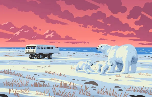 Winter, Snow, Art, Polar bears, Bears