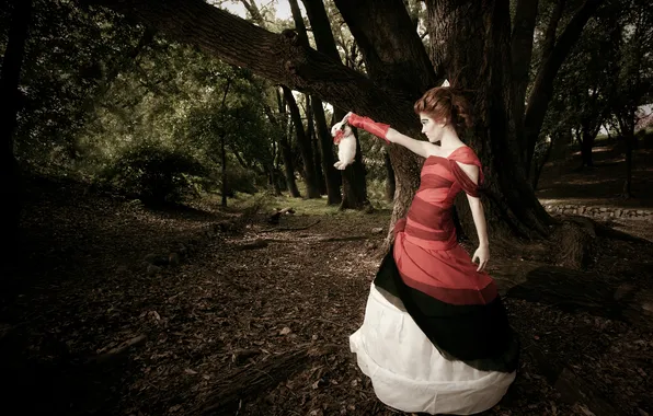 Forest, rabbit, Alice