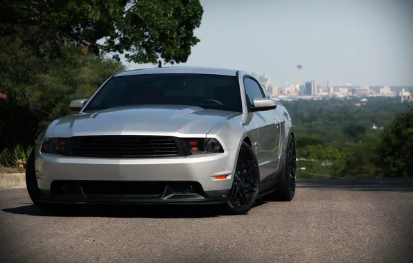 The city, Mustang, Ford, Shelby, Mustang, silver, horizon, muscle car