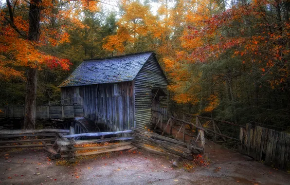 Autumn, forest, house, mill