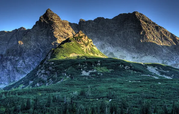 Picture mountains, rocks, vegetation