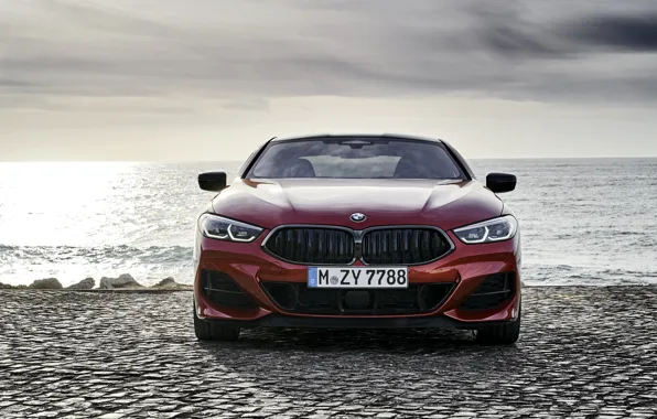 Picture shore, coupe, BMW, front view, Coupe, 2018, 8-Series, dark orange